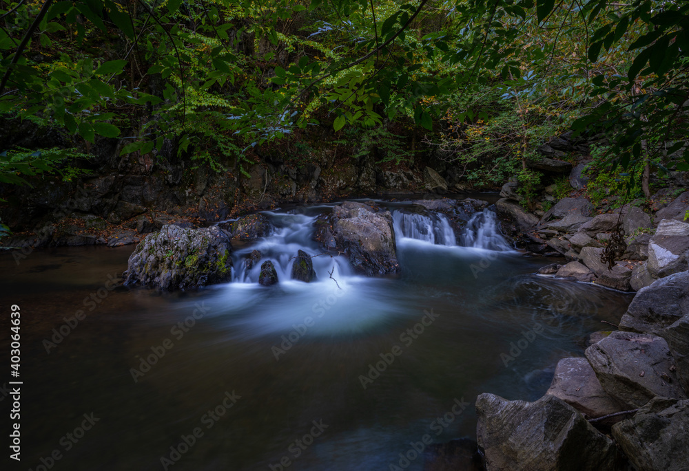 Fototapeta premium waterfall in the forest, Mountain river, the river, nature 