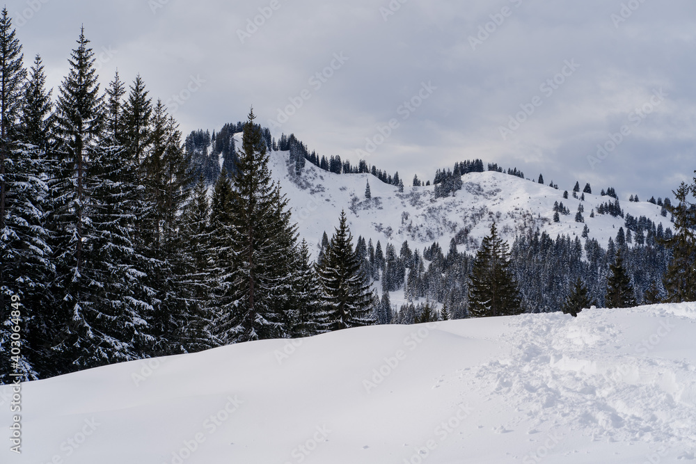 verchneites Bergpanorama in Balderschwang, Oberallgäu, Bayern