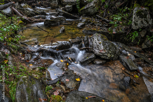 stream in the woods