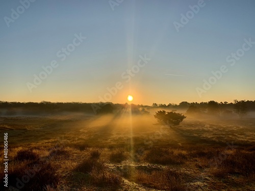 Westruper Heide