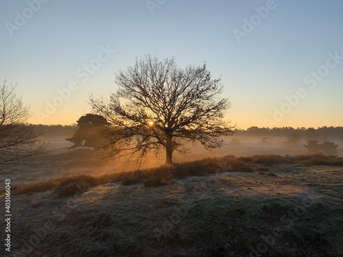 Westruper Heide © mallediven