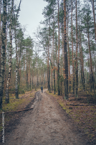 The man is riding a bicycle in the forest. Gravel bike