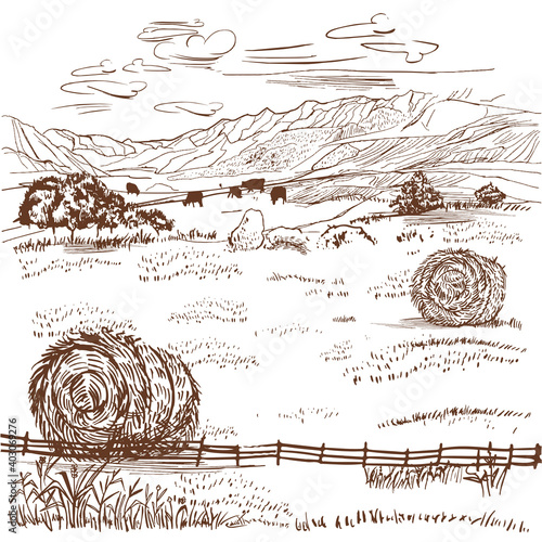 Valley farm with cows and a haystack. Agro landscape with mountains and fields. Rural farm view drawing in retro style