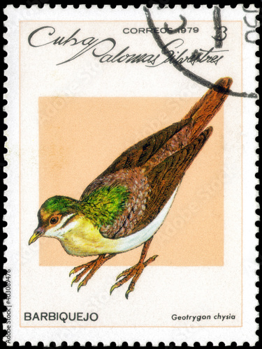 Postage stamp issued in the Cuba the image of the Key West Quail-dove. Geotrygon chrysia. From the series on Doves and Pigeons, circa 1979 photo