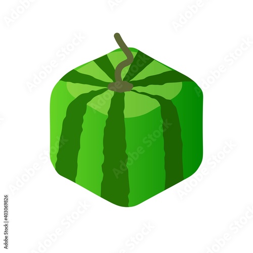 Watermelon cubik icon for web vector illustration