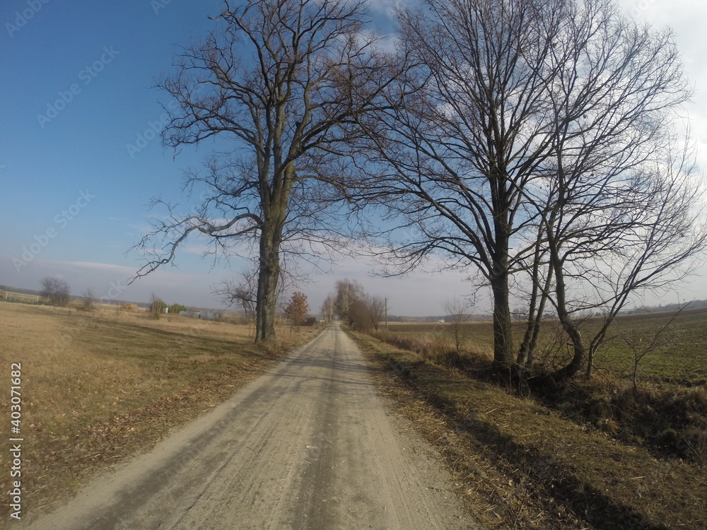 road in the countryside