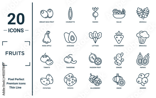 fruits linear icon set. includes thin line breast milk fruit, rose apple, tomato, potatoes, berries, lettuce, papaya icons for report, presentation, diagram, web design