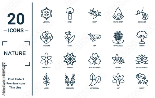 nature linear icon set. includes thin line jonquil, anemone, magnolia, larch, pansy, tea, lotus flower icons for report, presentation, diagram, web design