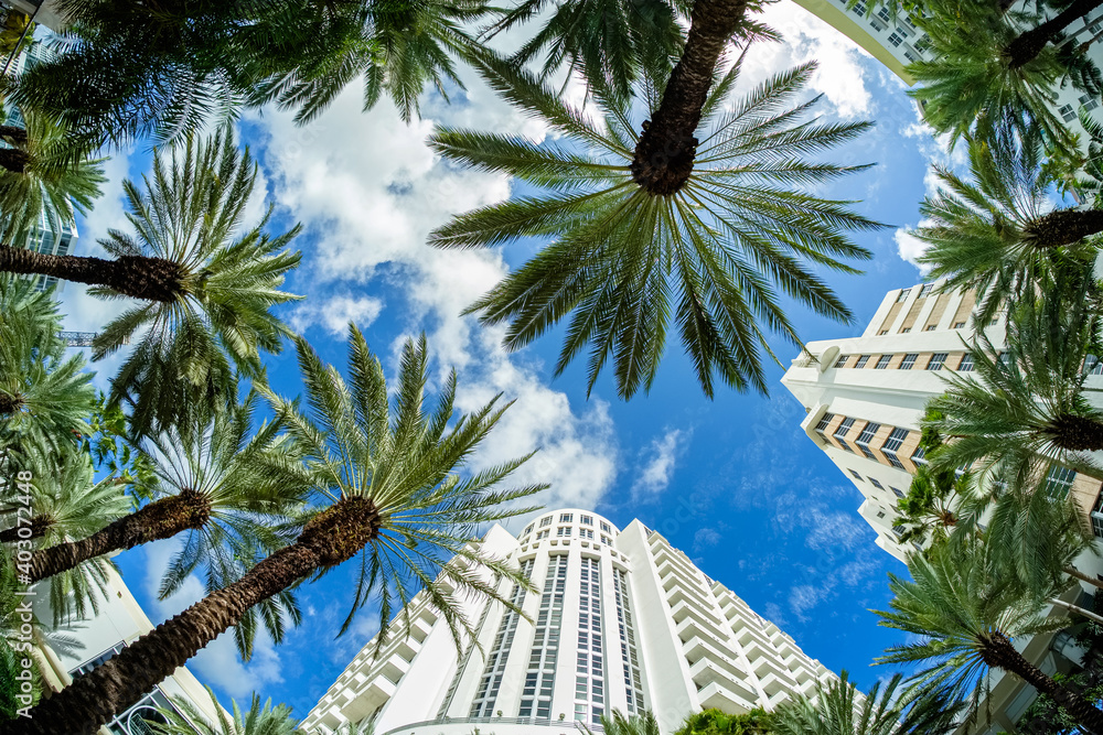 Fototapeta premium Beautiful Miami Beach fish eye cityscape with art deco architecture and palm trees.