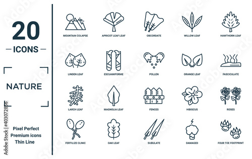 nature linear icon set. includes thin line mountain colapse, linden leaf, larch leaf, fertilize clinic, four toe footprint, pollen, roses icons for report, presentation, diagram, web design
