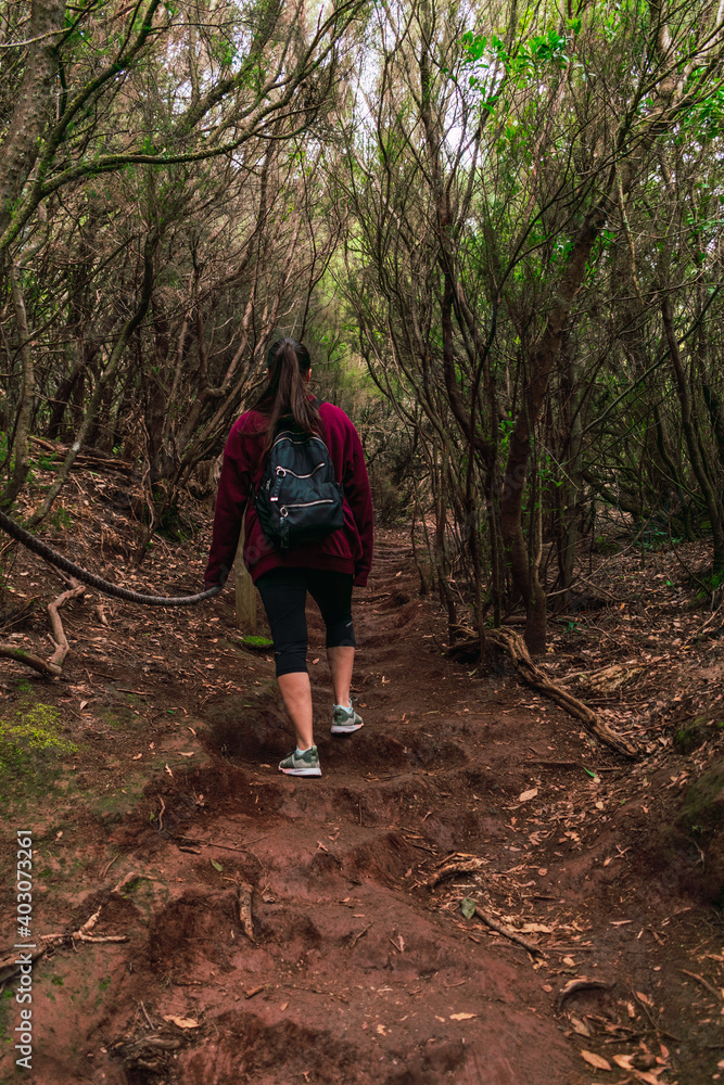 A woman walking through the forest A woman walking through the forest