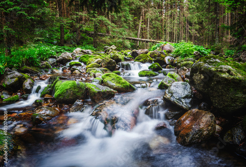 waterfall in the forest