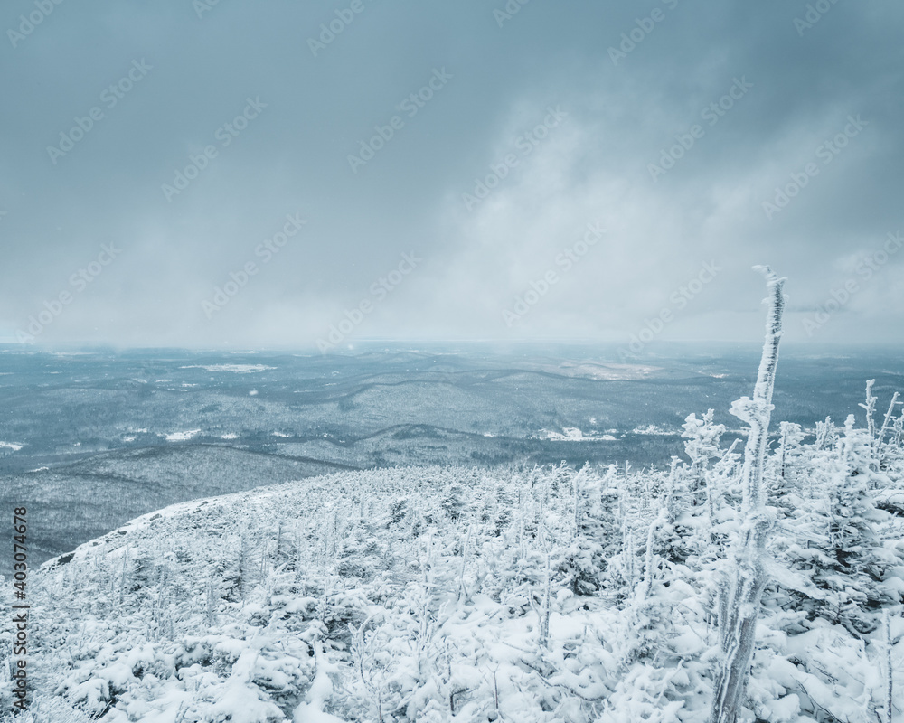 custom made wallpaper toronto digitalMountains