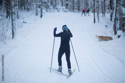 Cross country ski. Skiing in winter on the track.