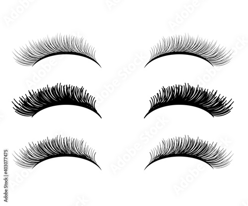 Long eyelashes on a white background. Vector illustration.
