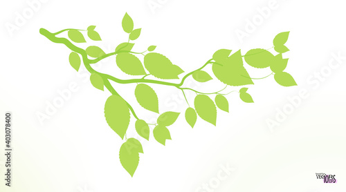 Green sprig or twig, spring foliage of the tree. Green tea ramule. Cherry, birch. Small branch with bright greeny leaves. Fresh nature flat icon. Vector illustration