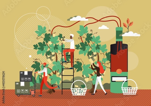 Wine production process concept vector illustration. Winery factory, people harvest grape and make wine. Winemaking technology