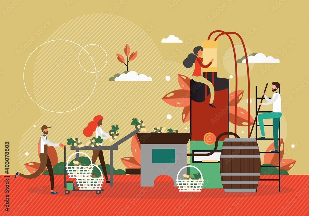 Wine production process concept vector illustration. Winery factory, people harvest grape and make wine. Winemaking technology