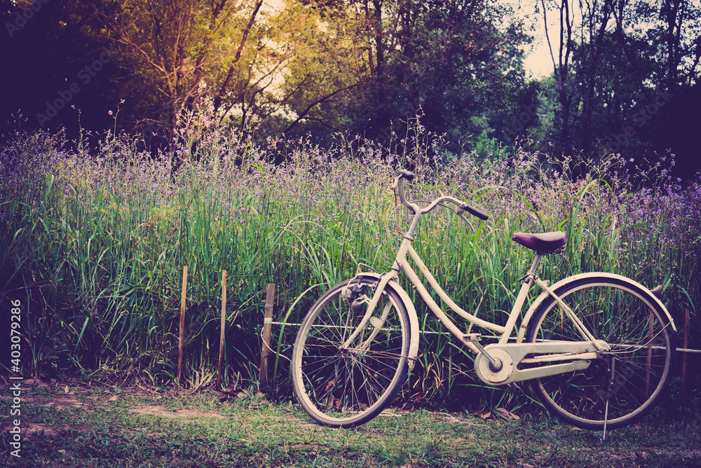 vintage bicycle on vintage outdoor park. Old bicycle and the green plants. Vintage Bicycle with flowers on summer landscape background