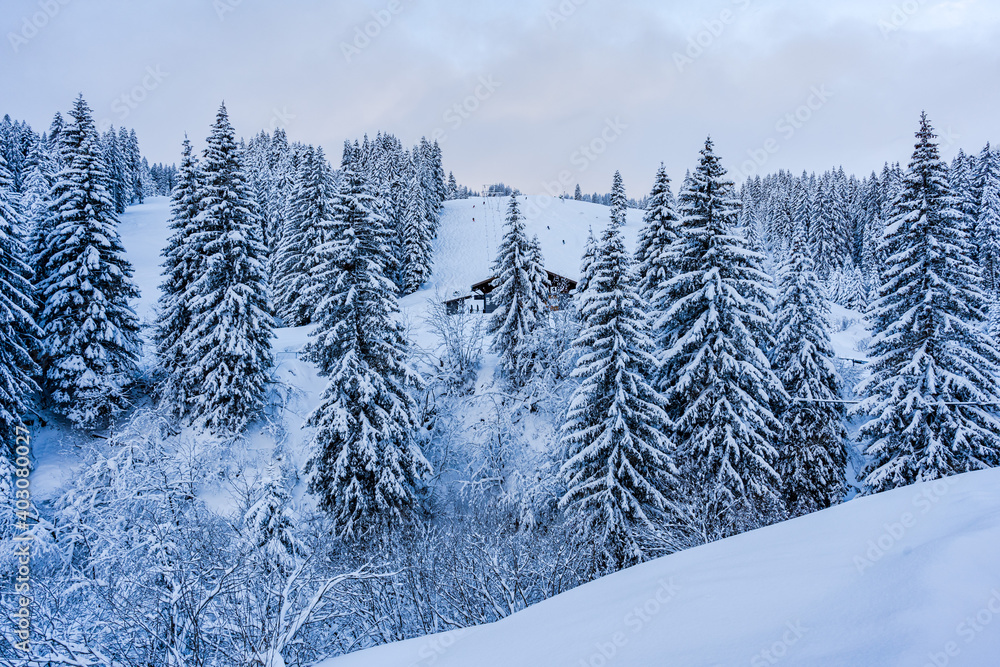 Skigebiet Grasgehren mit Tiefschnee Skigebiet Grasgehren mit Tiefschnee