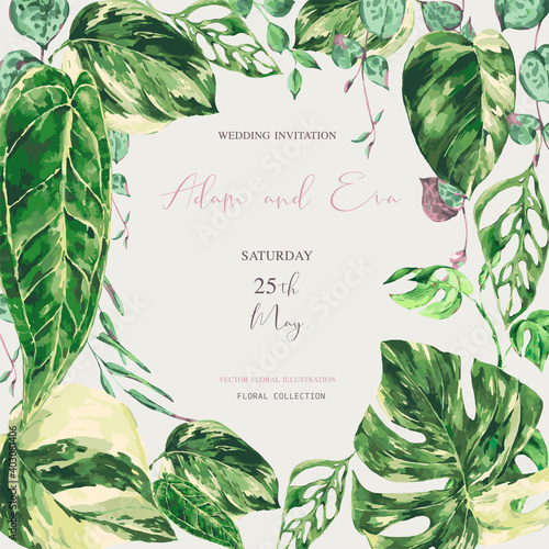 Vector watercolor tropical green leaves. Monstera Variegated greenery illustration