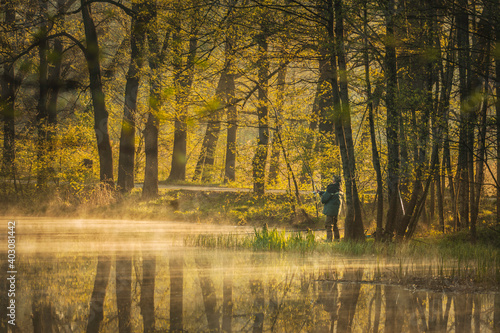 Fototapeta Naklejka Na Ścianę i Meble -  autumn in the park