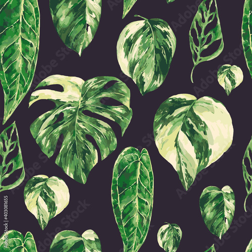 Vector watercolor tropical green leaves seamless pattern. Monstera Variegated greenery texture,