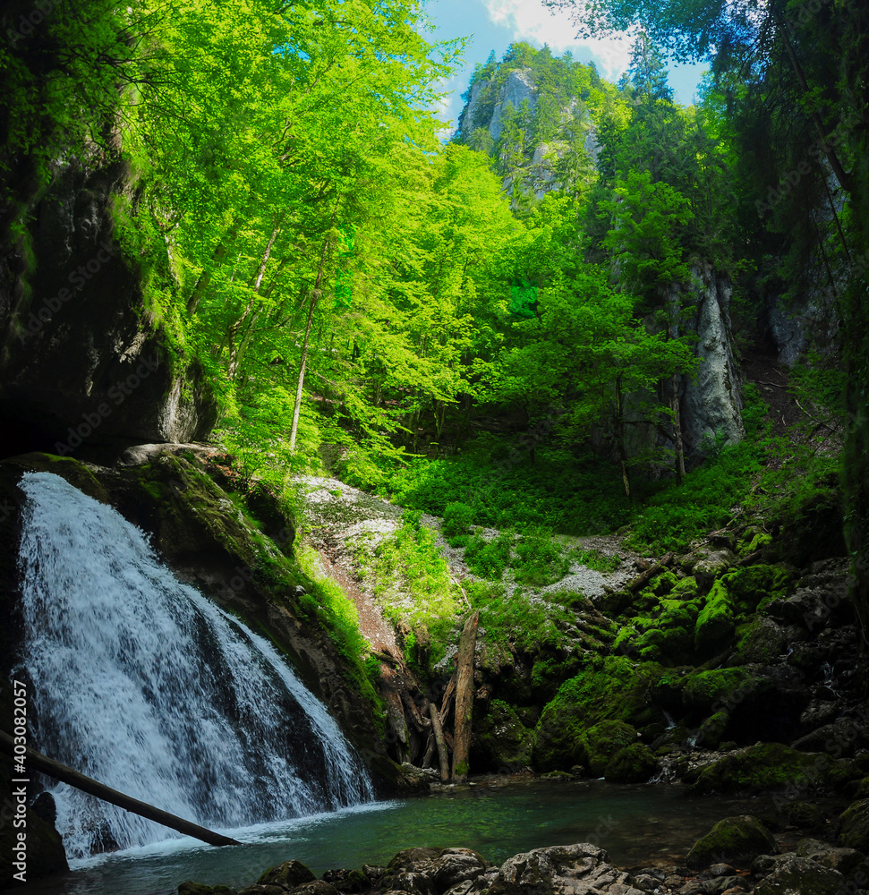 Vertical panorama of Galbena Waterfall. The river flows out of the forest into a craggy canyon. Sharp mountain peaks and beech forests populate Galbena's Gorges. Carpathia, Romania.