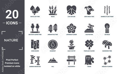 nature icon set. include creative elements as white ash tree  bamboo plant from japan  cultivation  daisy on pot  hill  wood board filled icons can be used for web design  presentation  report and