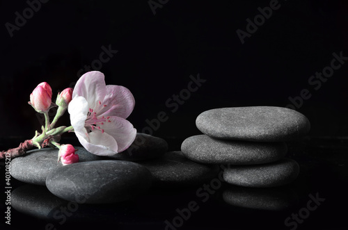 Spa stones and pink flowers on black background.