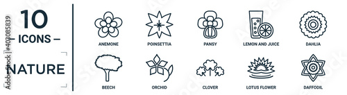 nature linear icon set. includes thin line anemone, pansy, dahlia, orchid, lotus flower, daffodil, beech icons for report, presentation, diagram, web design