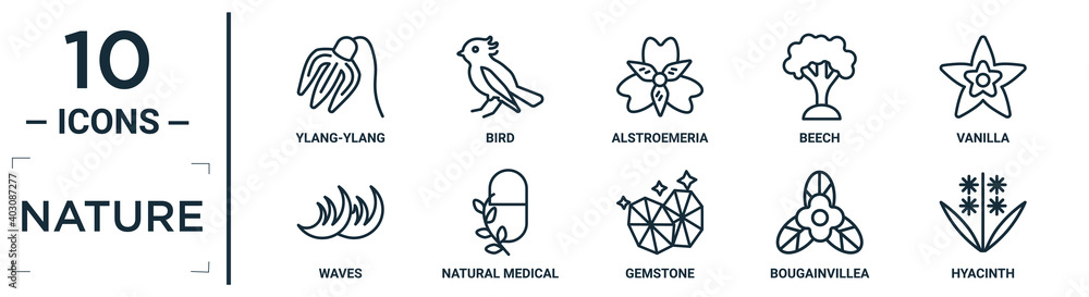 Fototapeta premium nature linear icon set. includes thin line ylang-ylang, alstroemeria, vanilla, natural medical pills, bougainvillea, hyacinth, waves icons for report, presentation, diagram, web design