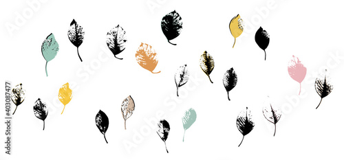 Grunge leaves set. Abstract foliage. Autumn leaves pastel colors collection. Cherry tree leaf. Cherry foliage.
