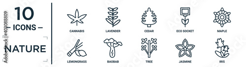 nature linear icon set. includes thin line cannabis, cedar, maple, baobab, jasmine, iris, lemongrass icons for report, presentation, diagram, web design