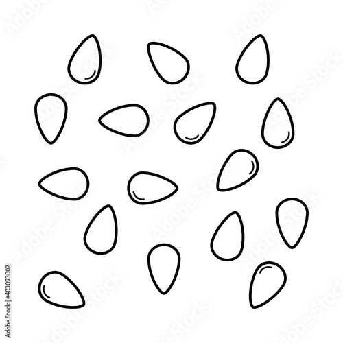 Watermelon seeds pattern in isolated outline vector for background