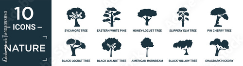 filled nature icon set. contain flat sycamore tree, eastern white pine tree, honey-locust tree, slippery elm pin cherry black locust black walnut american hornbeam black willow shagbark hickory.