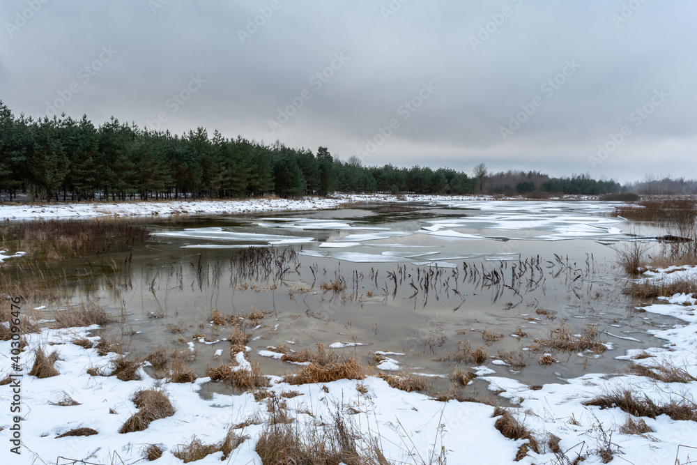 Winter landscape with a forest lake and a mysterious foggy forest. A secluded lake in the middle of a forest with blocks of ice and old dry grass.