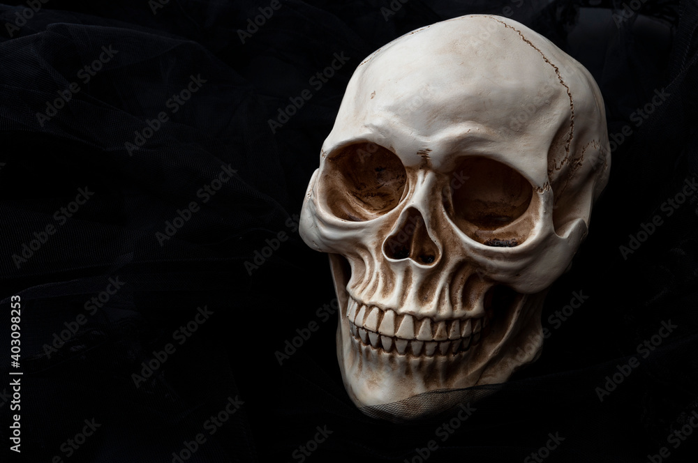 The grim reaper, haunted nightmare and fear of death or death anxiety concept with mysterious image of human skull sounded by darkness isolated on black lace background with copyspace The grim reaper, haunted nightmare and fear of death or death anxiety concept with mysterious image of human skull sounded by darkness isolated on black lace background with copyspace