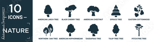 filled nature icon set. contain flat american larch tree, black cherry tree, american chestnut tree, spruce eastern cottonwood northern oak american hophornbeam sassafras tulip pitch pine icons in.