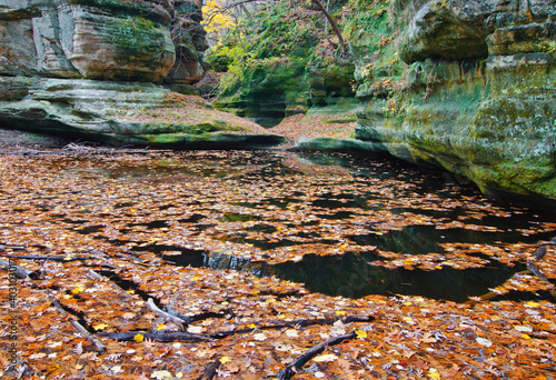 554-02 Illlinois Canyon Fall Leaves photo