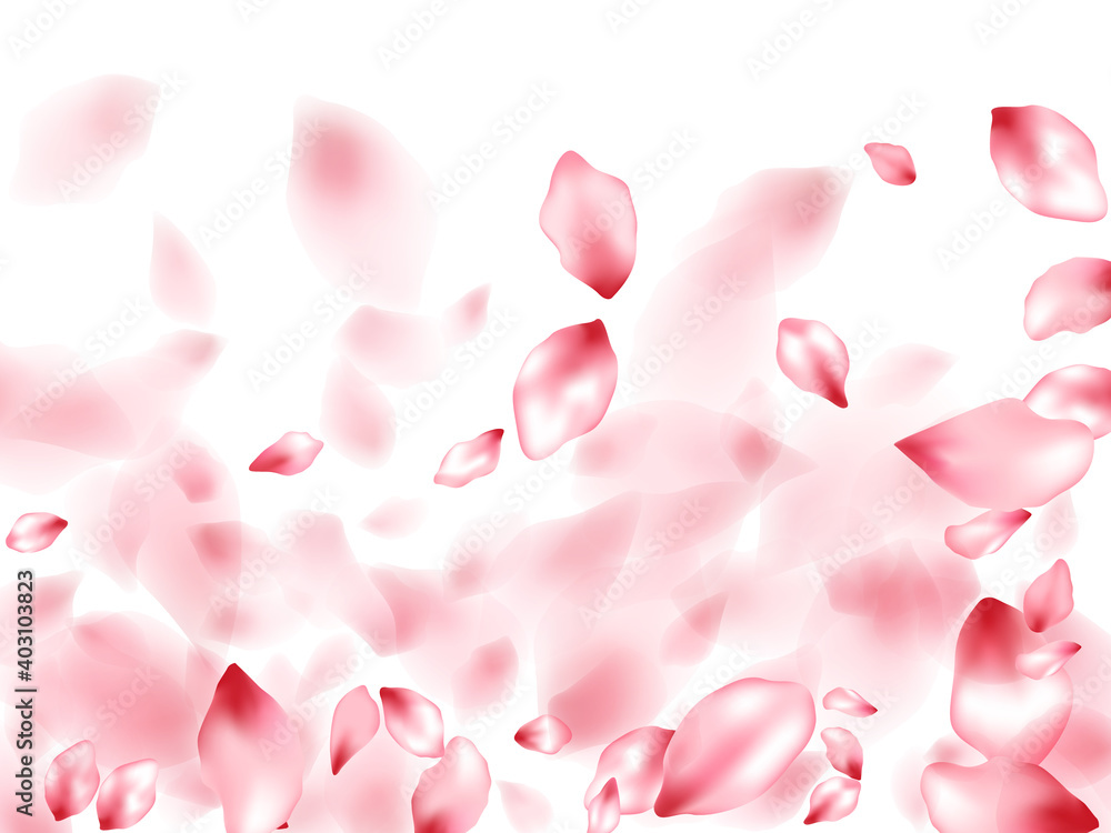 Pink sakura flower flying petals isolated on white vector background. Pink sakura flower flying petals isolated on white vector background.