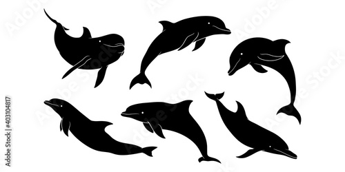 hand drawn silhouette of dolphin