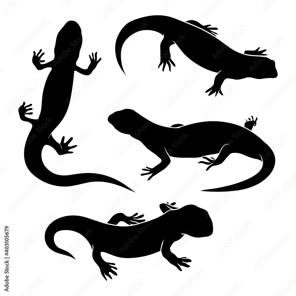 Hand drawn silhouette of salamander Hand drawn silhouette of salamander
