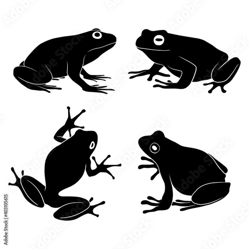 hand drawn silhouette of frog