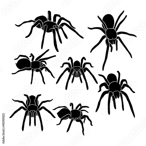 Hand drawn silhouette of tarantula