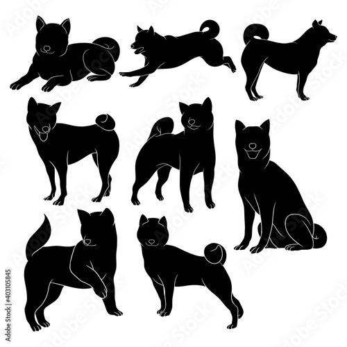 Hand drawn silhouette of shiba inu