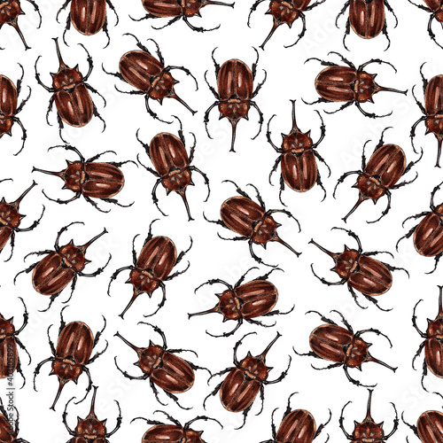 Watercolor botanical insect pattern. Beetle illustration isolated on white background. Insects brown pattern an illustration for postcards, posters, textile design and other souvenirs. © Евгения Глазунова