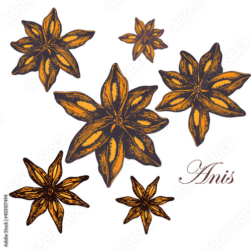 star anise isolated on white background