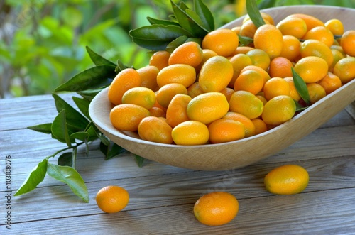 Fresh kumquats in a dish. Citrus background. 

