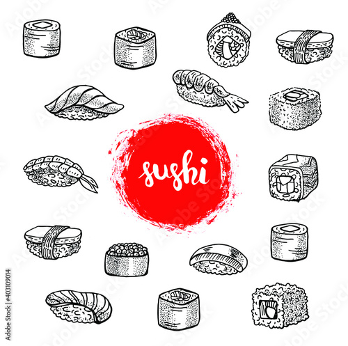 Hand drawn graphic style sushi sashimi illustration